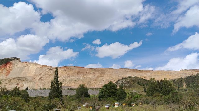 El apiario de La Abejería visto de lejos: monte abierto con árboles dispersos, las colmenas al fondo y los cerros de la sabana detrás