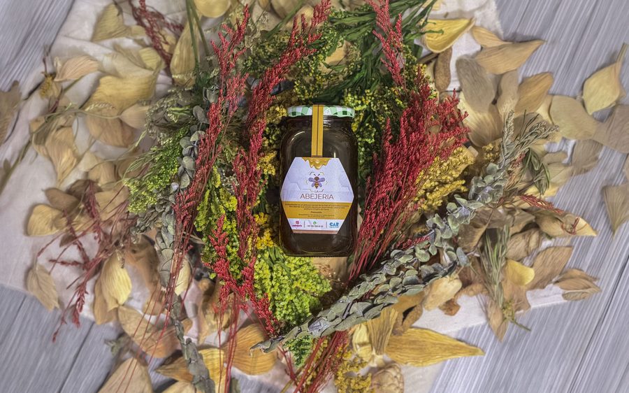 Miel Multifloral - La Abejería