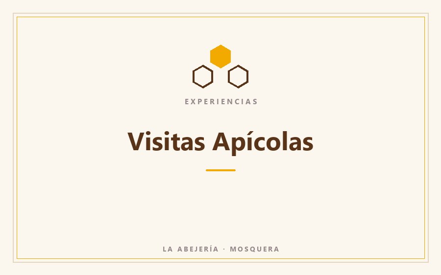 Visitas Apícolas - La Abejería